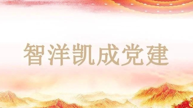 智洋凯成党建 | “我为群众办实事”——智洋凯成党支部、新粤公司党支部、新粤公司经营管理部党支部共同开展党建共建活动